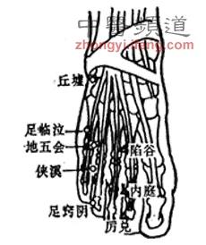 防治百病記住手腳上的13大養生穴(組圖)
