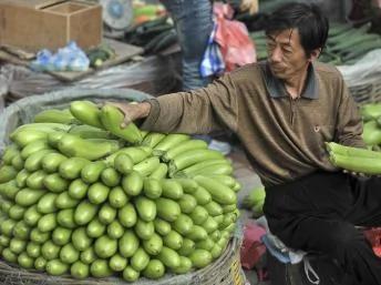 中国辽宁沈阳的一个菜市场。2011年7月9日。