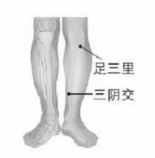常按人體基本穴位可延壽命