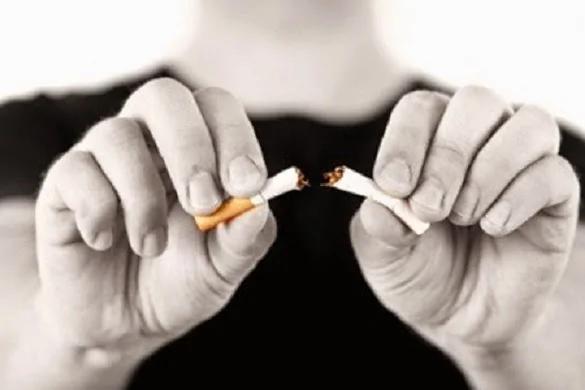 「戒菸」的圖片搜尋結果