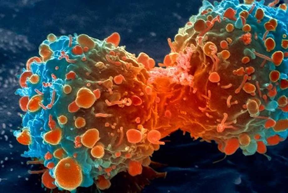 2016-03-ITN-contagious-Cancer