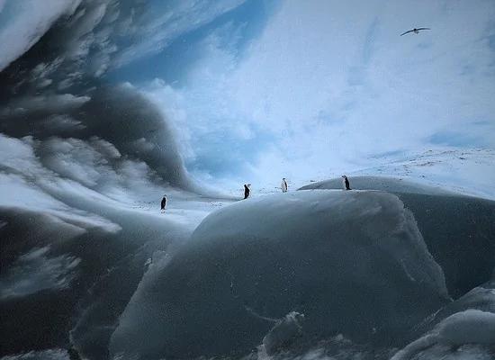 這些古老的冰山已凍結3萬年，實拍美到令人窒息