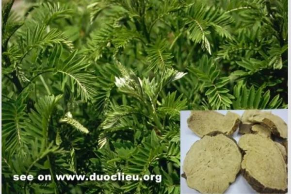 ���Ї�������ע��Һ�@׼�ί����N��֢�[����ͨ���������o�������t�W�Ļ������������ԭ��һֹPǂ��i���D����������W�j�DƬ��