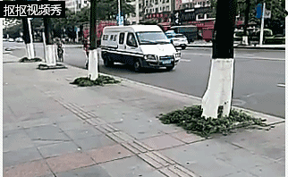 (圖片來源網路)