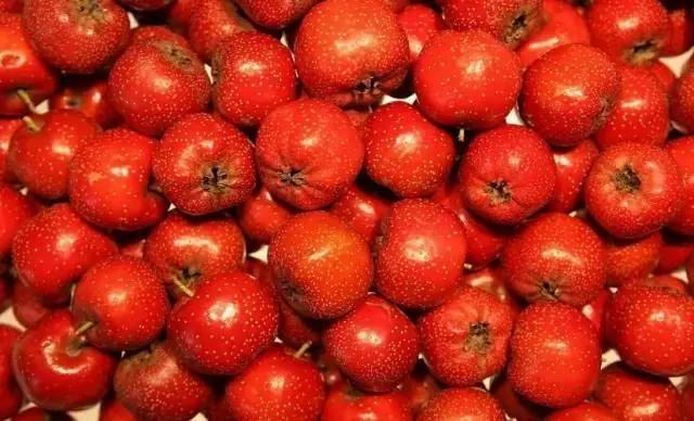 节气丨今日立秋 该进补啦!