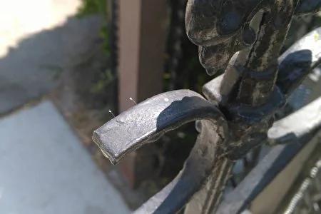 大纪元：三千年一开的优昙婆罗花现洛杉矶各地