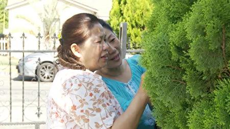 大纪元：三千年一开的优昙婆罗花现洛杉矶各地