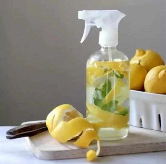 “柠檬”是世界上最有用的东西 你肯定不知道它的这22个妙用