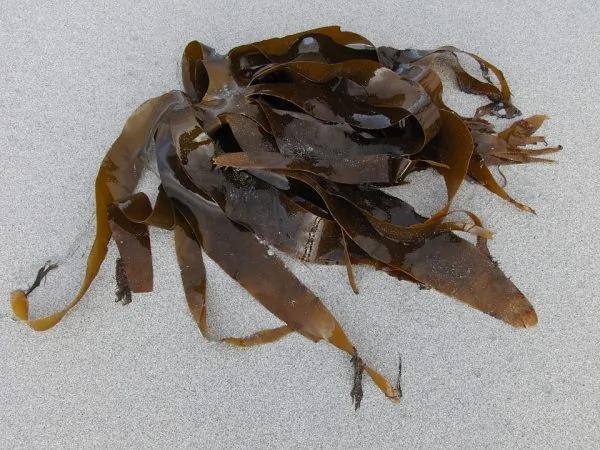 血栓當天 會向你發送6個暗號 收到1個就能救命 為家人看一眼！