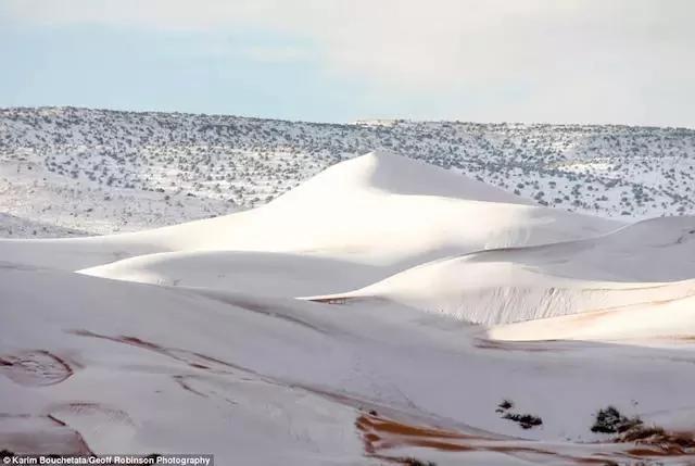 撒哈拉沙漠下雪了 40年來第三次眼前一片蒼茫