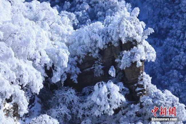 四川光霧山雪後銀裝素裹 美不勝收