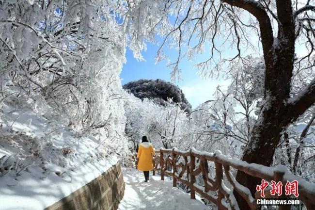 四川光霧山雪後銀裝素裹 美不勝收