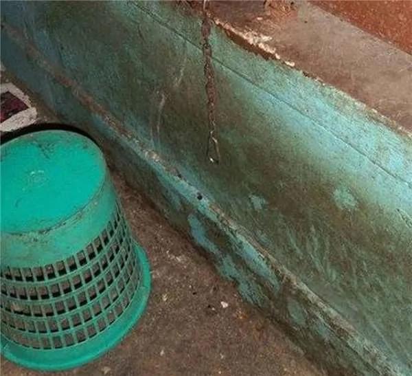 被長期拴養在陽台的狼犬痛苦難耐 決定跳樓換自由 這一跳卻改變了它的生活！