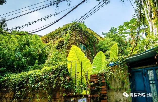 沒愛上廈門 係因為你沒做過這11件事