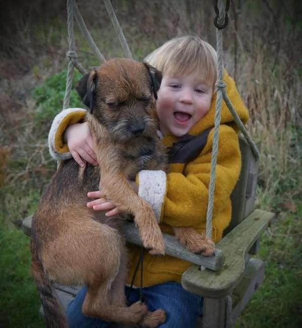 3歲男童的聖誕願望係找回「狗狗好朋友」 刻薄出名的「他」 也幫忙出錢找狗！