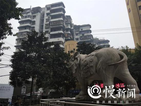 24層高樓沒電梯成網紅居民：每天爬上爬下腿軟發抖