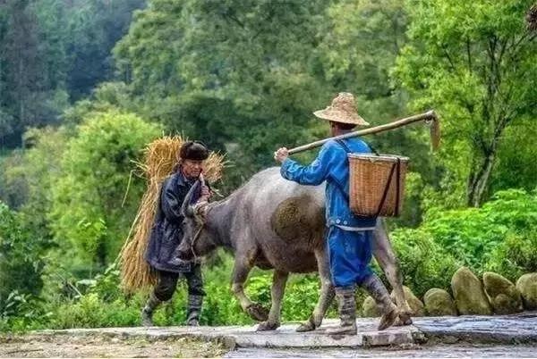 在鮮為人知的古村落 感受清幽避世生活
