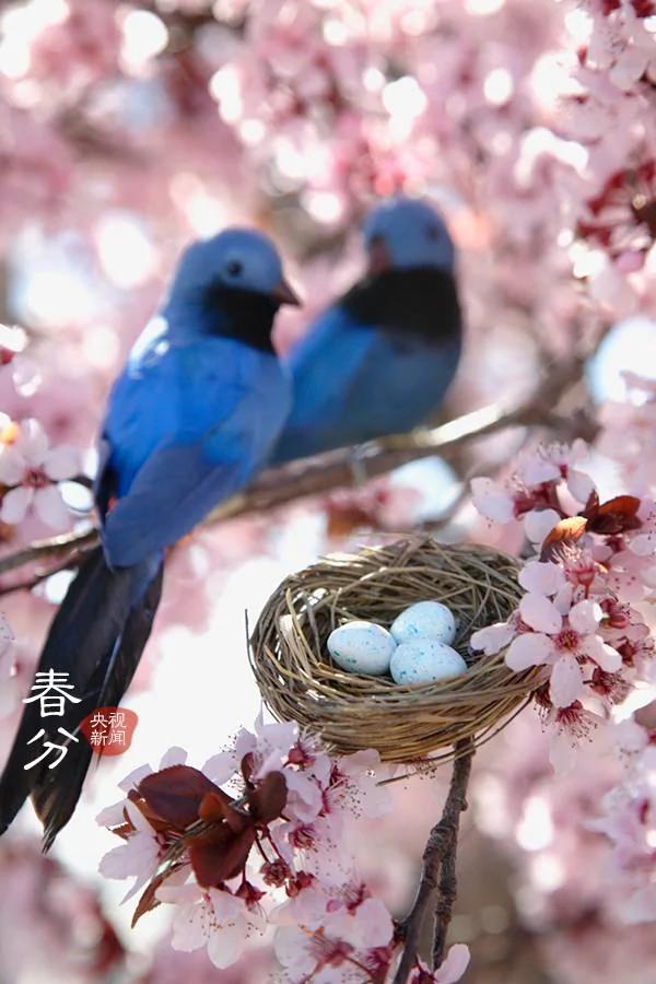 古詩里的二十四節氣