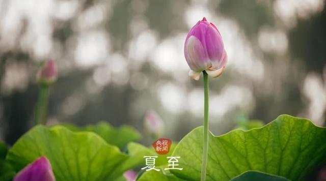 古詩里的二十四節氣