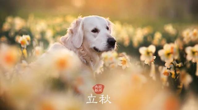 古詩里的二十四節氣