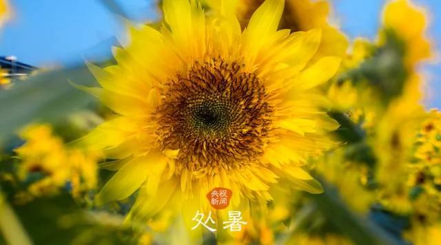 古詩里的二十四節氣