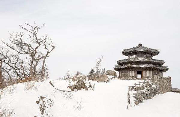 有梅無雪不精神  有雪無詩俗了人！