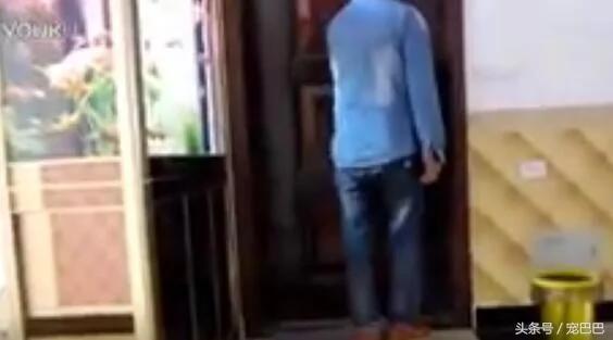 爸爸讓狗狗照顧寶寶，他出去買嘢 結果返嚟時看到「這一幕」！