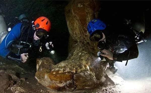 潛水者在水底發現長達300多公里的「洞穴」 難道係古馬雅人死後要走的「陰間路」？