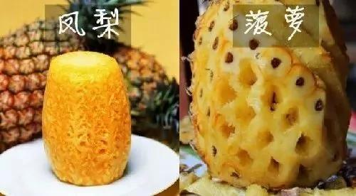 奇異果不是獼猴桃 這些錯誤知識你記了多少年！