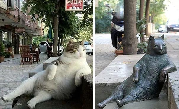 伊斯坦堡最著名的喵星人 在自己最喜歡的座位上 擁有了自己的雕像！