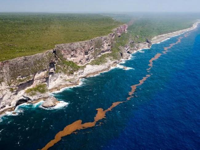 多明尼加共和國 堪稱生態旅遊的天堂