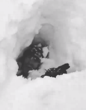 男子跳進雪地「親測」積雪厚度結果萬沒想到