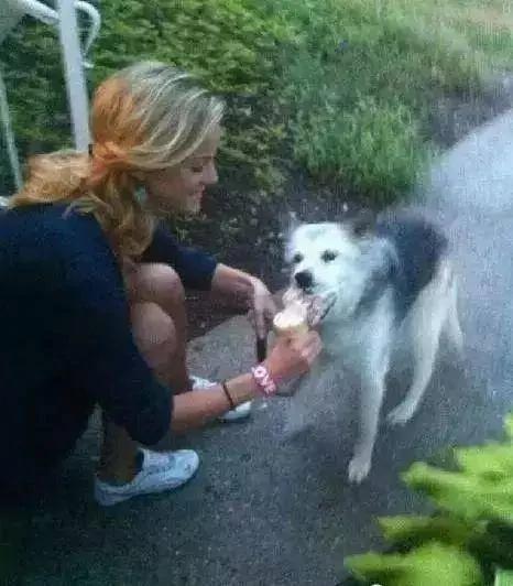 狗狗即將死亡 為了讓它沒有遺憾的走 主人送了它渴望16年的禮物！