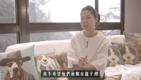 這位女人在家養了100隻狗狗 被愛狗的人贊爆！