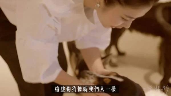 這位女人在家養了100隻狗狗 被愛狗的人贊爆！