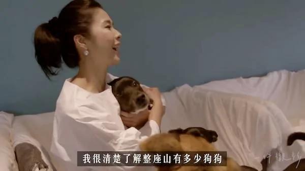 這位女人在家養了100隻狗狗 被愛狗的人贊爆！