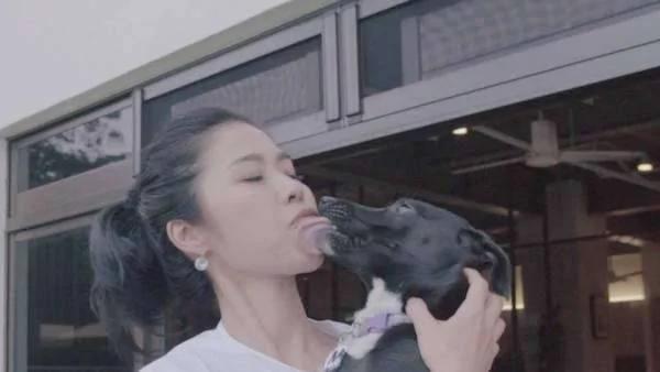 這位女人在家養了100隻狗狗 被愛狗的人贊爆！