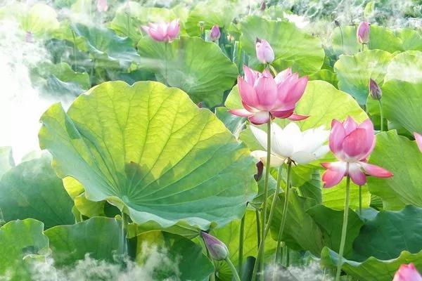 古人書信中的漢語之美 驚呆了~