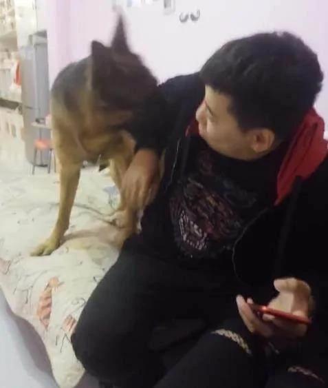 狗狗看見男子打女主人 立馬撲了上去 將男子制服！