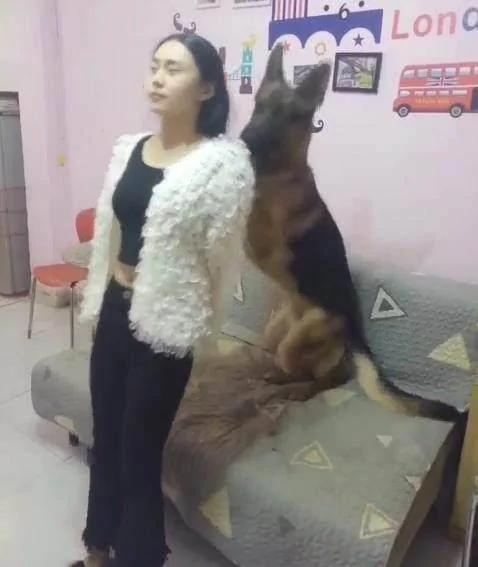 狗狗看見男子打女主人 立馬撲了上去 將男子制服！
