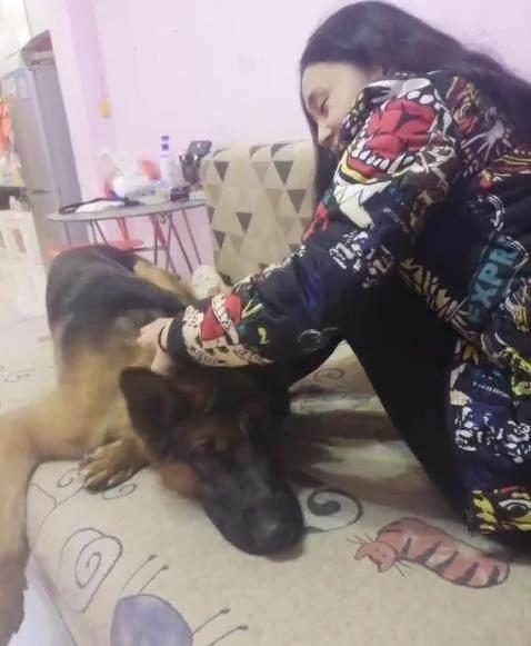 狗狗看見男子打女主人 立馬撲了上去 將男子制服！