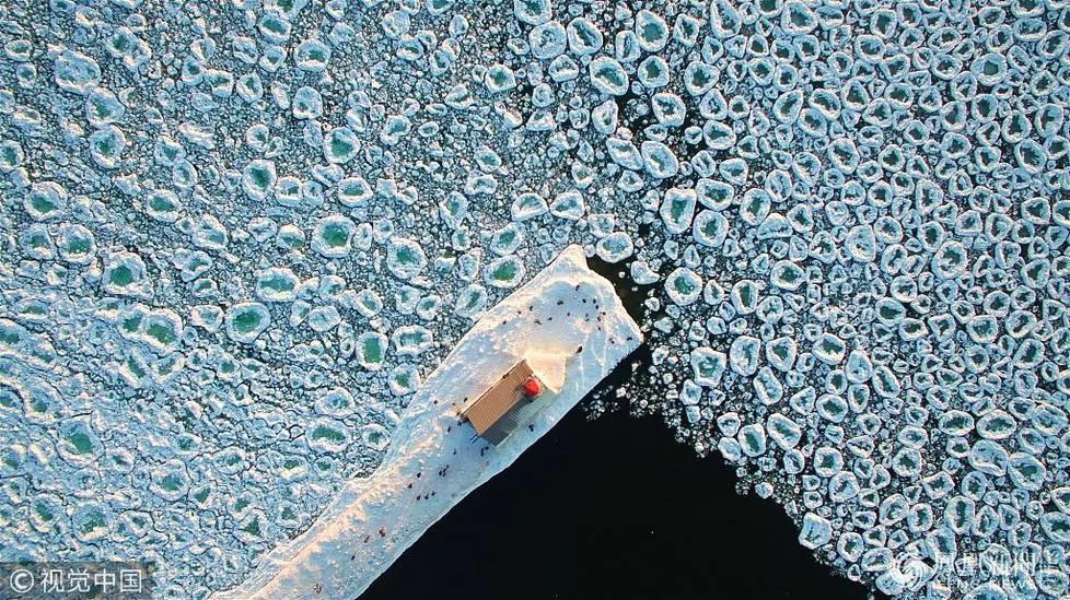 美國密歇根湖冰雪奇觀 滿湖巨大圓冰似荷葉