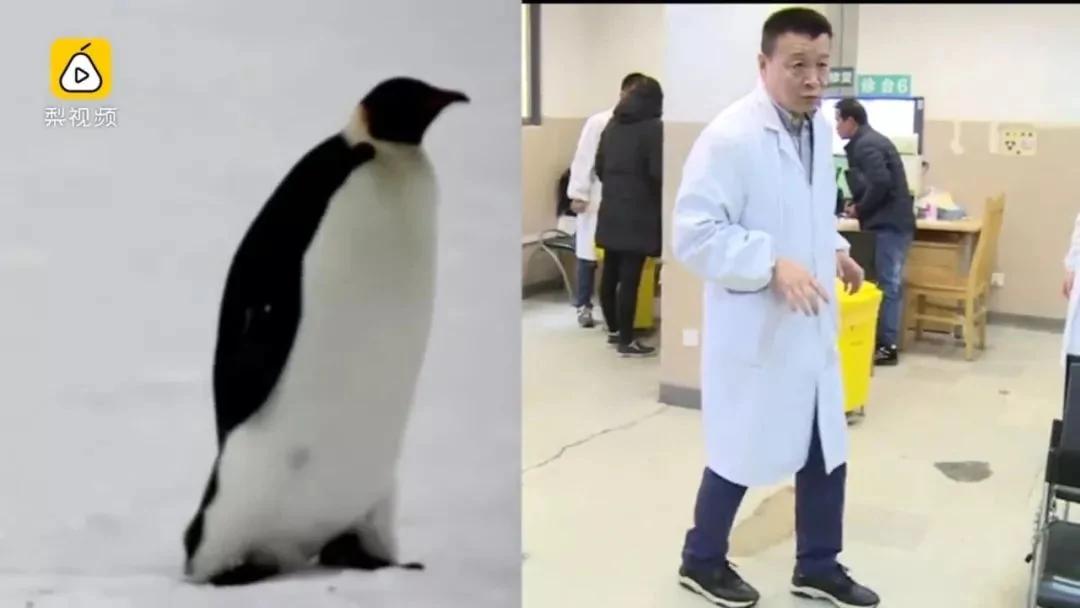 「企鵝步」防摔跤視頻火了 據講冬天應該這樣走路
