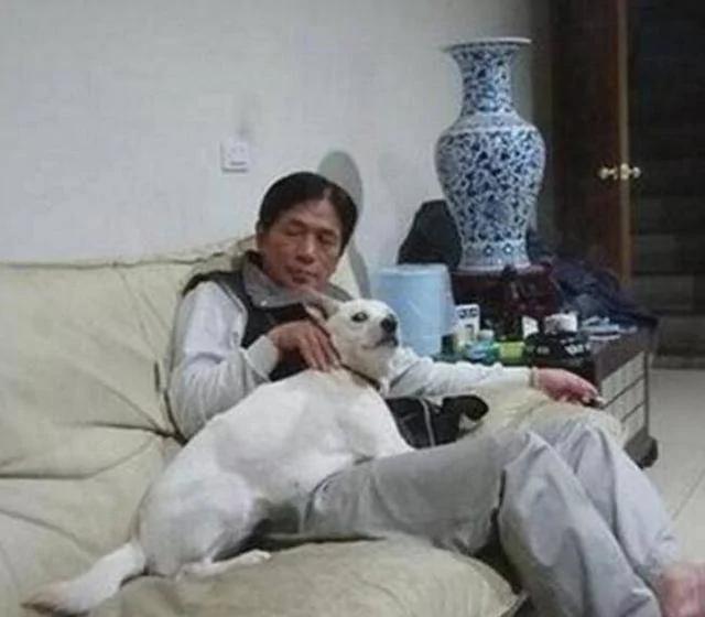 撿迴流浪狗被老爸罵慘 外出回家 看到老爸寵狗的一幕 驚喜！