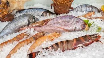 Omega3：防癌抗發炎！一星期吃2次魚護心血管