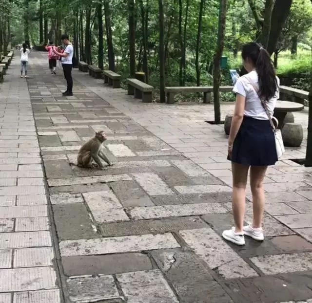 下雪了讓男朋友給我拍張美照發朋友圈 看完想分手…