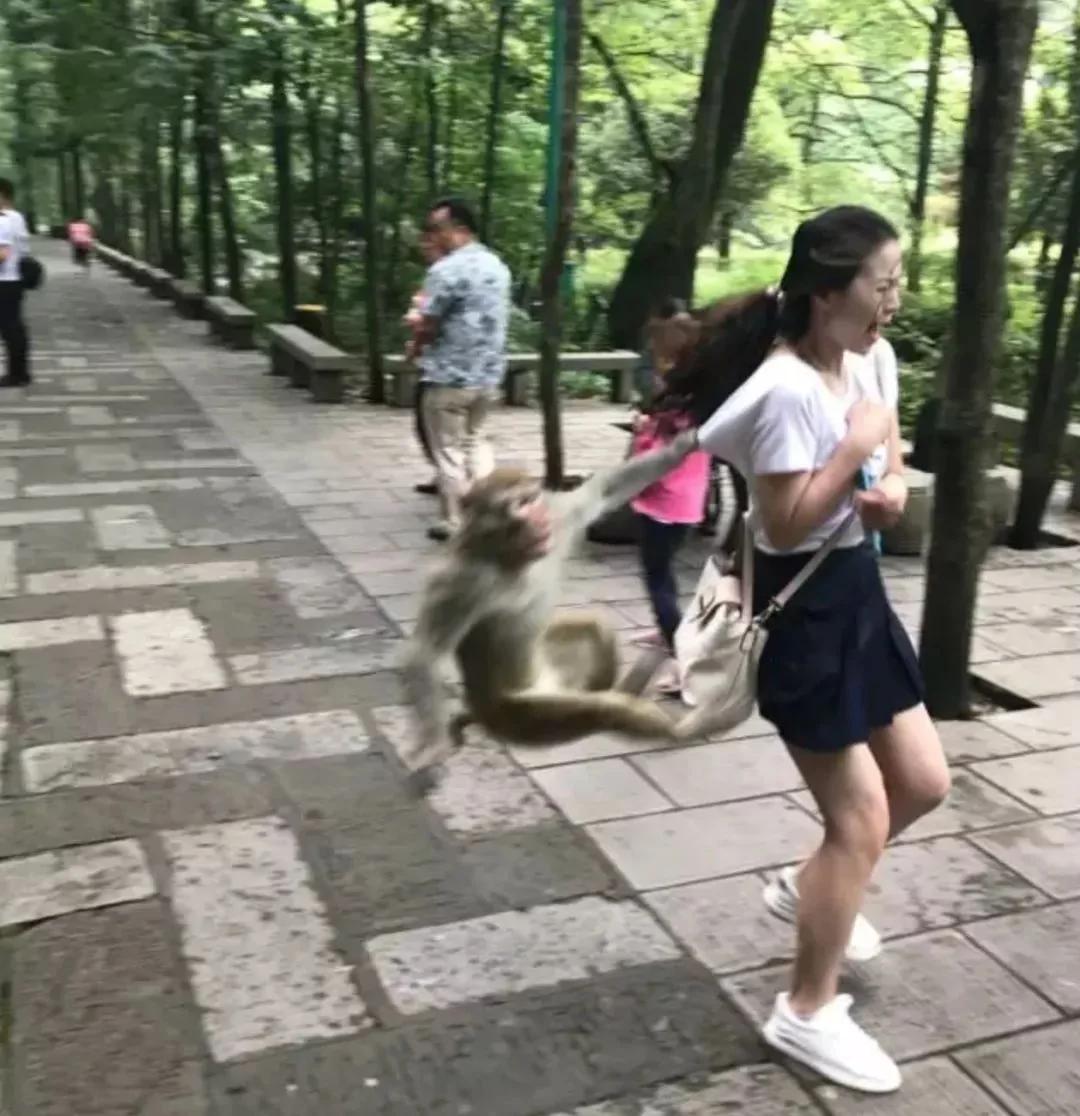 下雪了讓男朋友給我拍張美照發朋友圈 看完想分手…