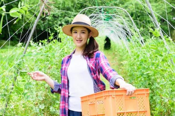 深度好文: 要麼折騰 要麼平凡!