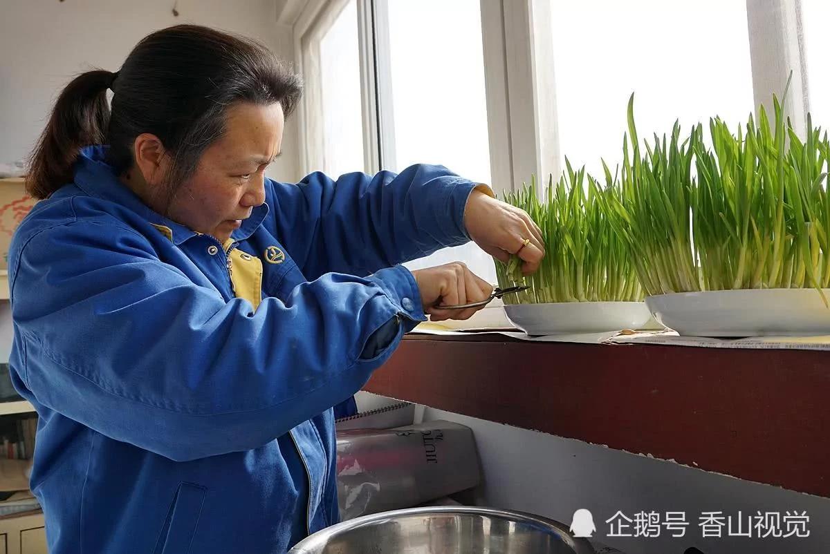 母親給女兒做的這盤菜 花了一個月的時間 5 母親給女兒做的這盤菜 花了一個月的時間