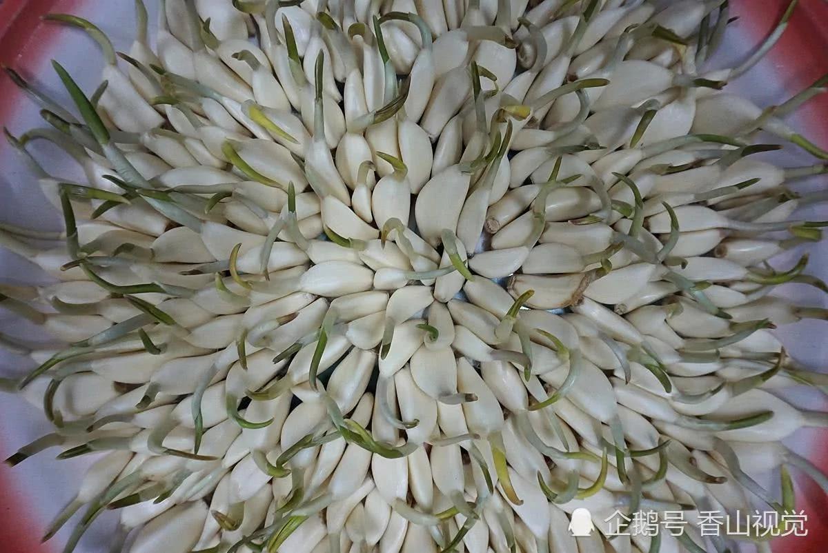 母親給女兒做的這盤菜 花了一個月的時間 3 母親給女兒做的這盤菜 花了一個月的時間